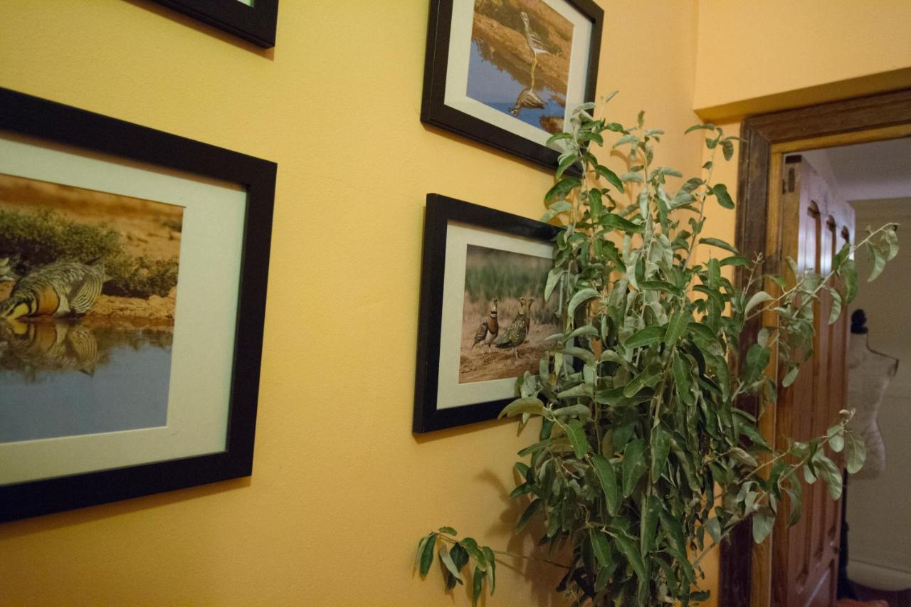 Casa El Altero Villa Codo ภายนอก รูปภาพ
